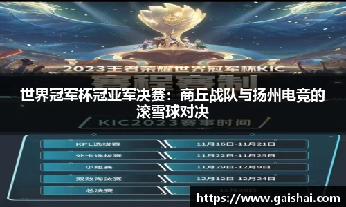 世界冠军杯冠亚军决赛：商丘战队与扬州电竞的滚雪球对决
